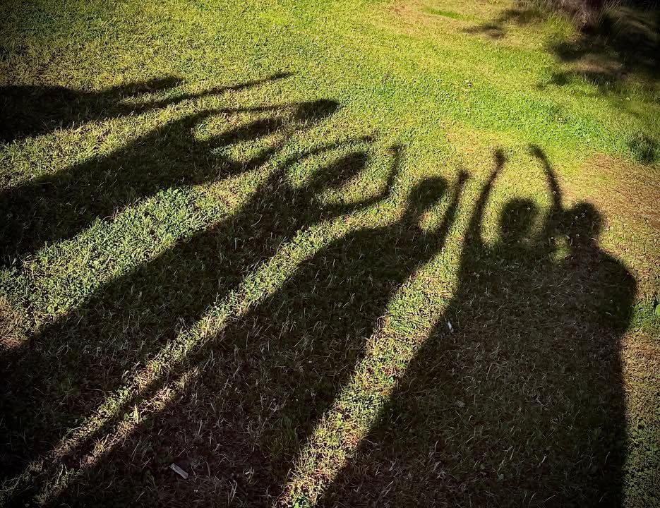 /feed/2026/112275979305828_1525355249386245.jpg
